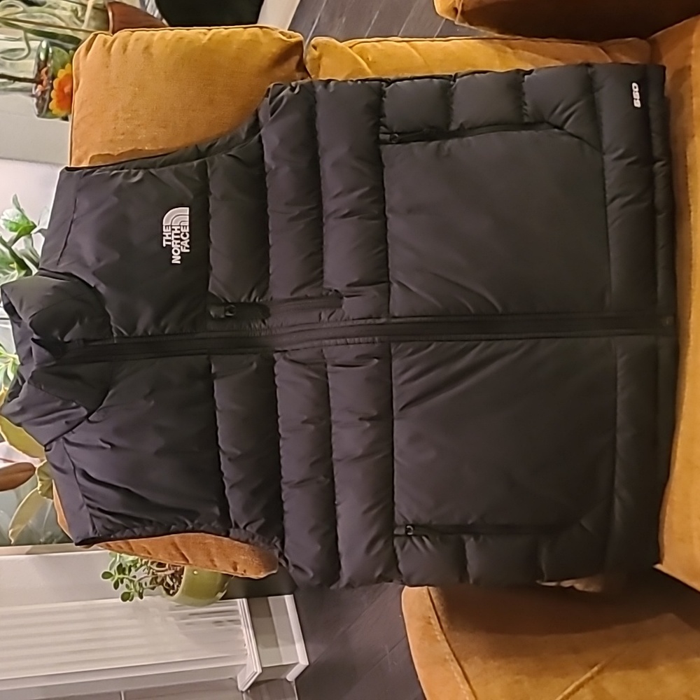Men's TNF black vest